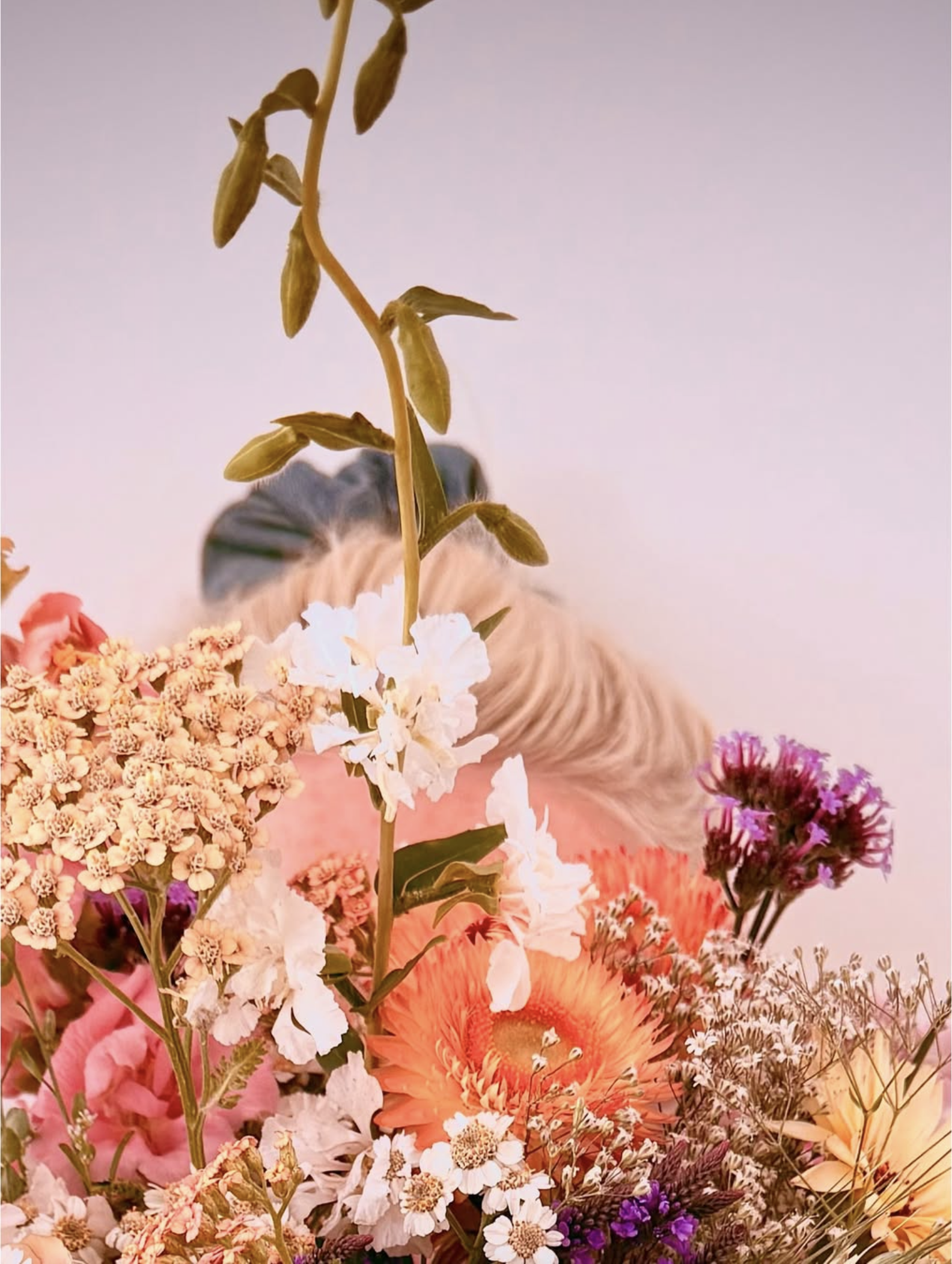 Hands holding a bunch of beautiful flowers.